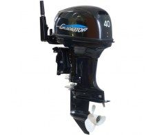  Gladiator G 40 FH (   )