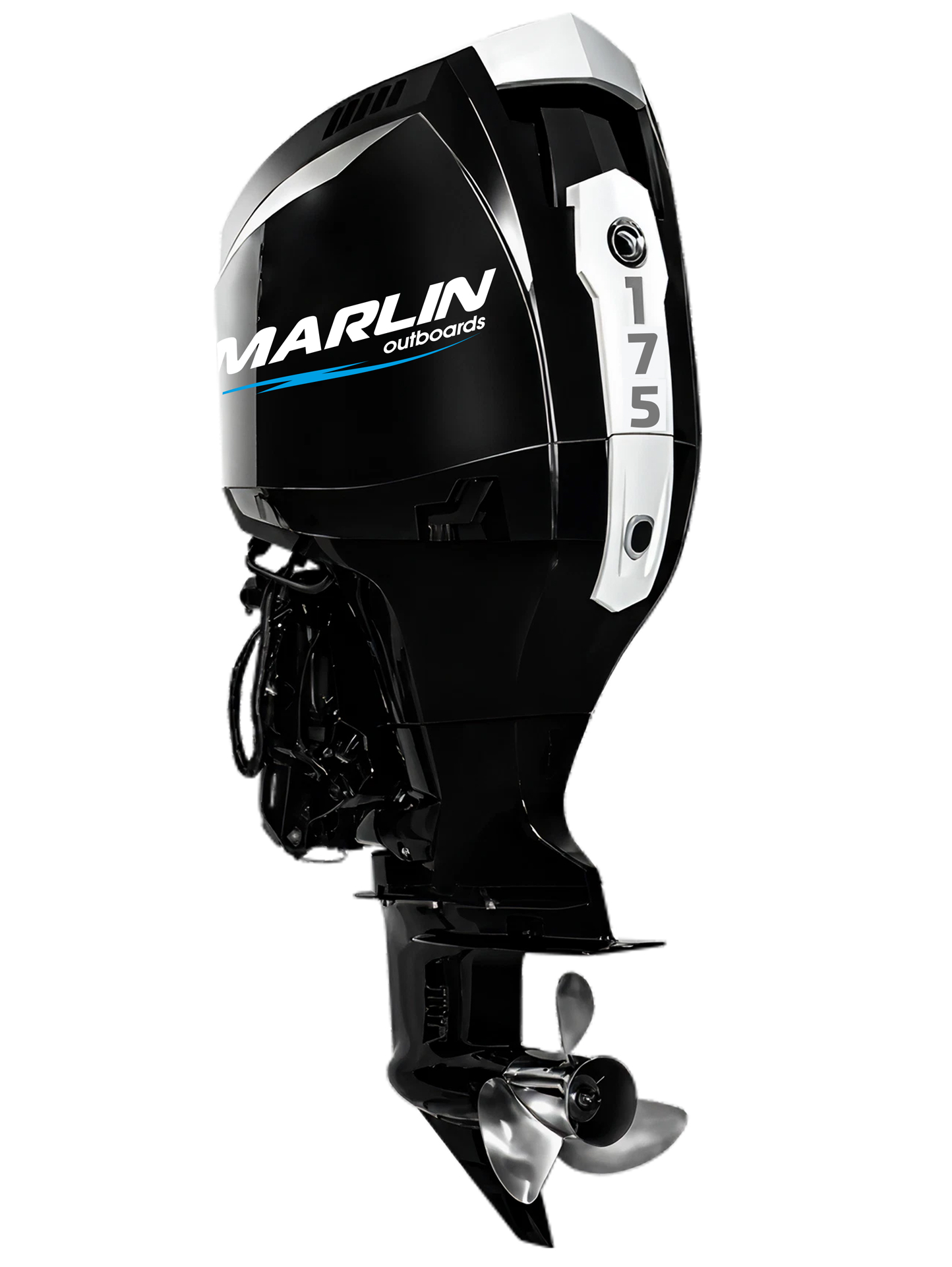 �������� ����� Marlin MFI 175 AERTL-MW - �������������� ��������� � ����������� ��������, ECU � ������������� �����������