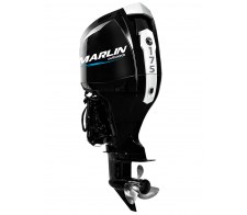 �������� ����� Marlin MFI 175 AERTL-MW - �������������� ��������� � ����������� ��������, ECU � ������������� �����������