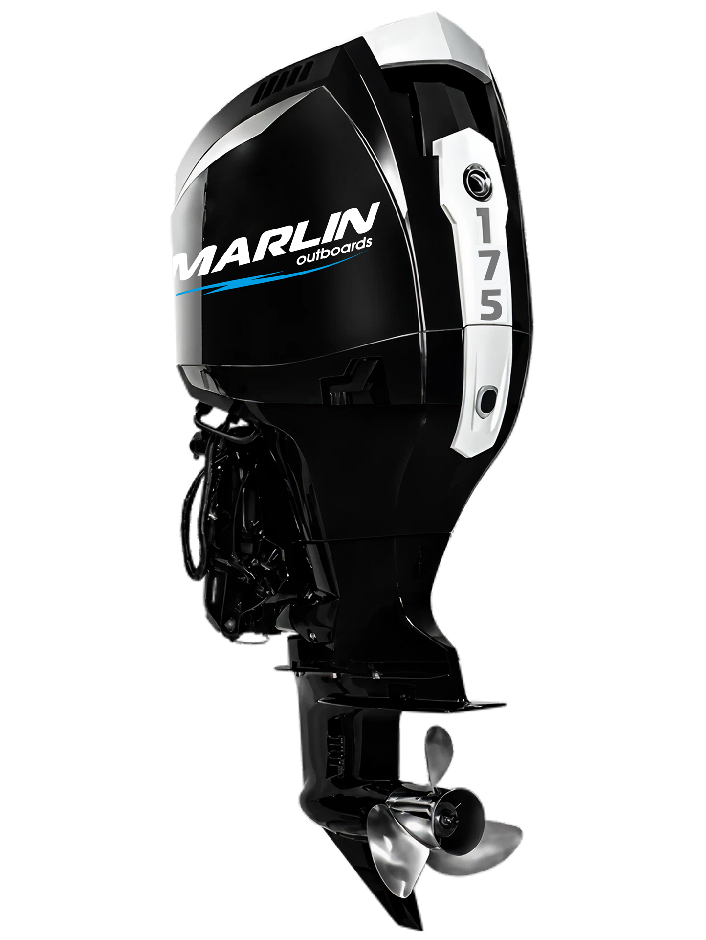 �������� ����� Marlin MFI 175 AERTX-DB - �������������� ��������� � ����������� ��������, ECU � ������������� �����������