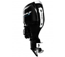 �������� ����� Marlin MFI 200 AERTL-MB - �������������� ��������� � ����������� ��������, ECU � ������������� �����������