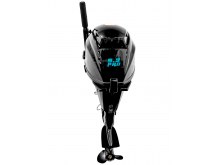    Reef Rider RRF9.9HES-IB PRO 362 CC      12V 8Ah          ,       .