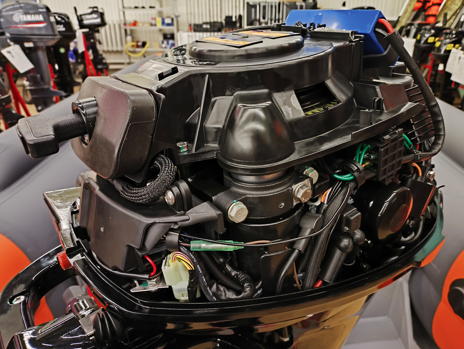 �������� �������� ����� Reef Rider RRF9.9HES-IB PRO ����� ������ � ������������� ������, ����������� ������������ ����� �� ������ ������� ������������.