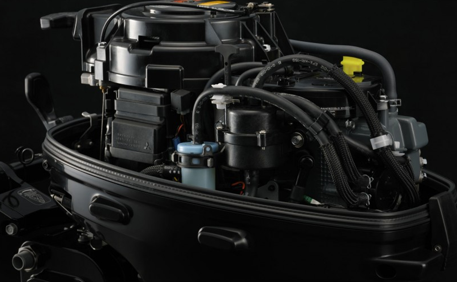   Suzuki DF 9.9 BS      ( ),       