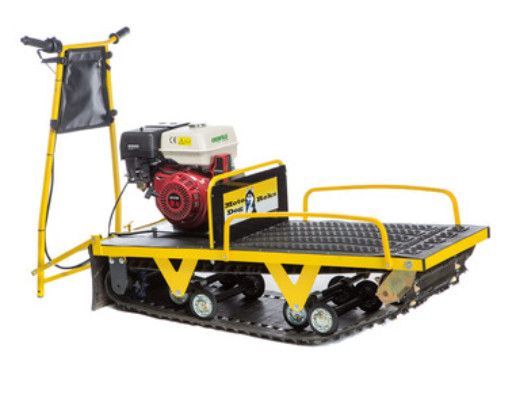   RV509