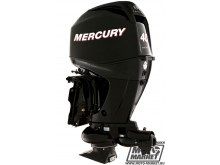   Mercury ME JET F 40 ELPT EFI