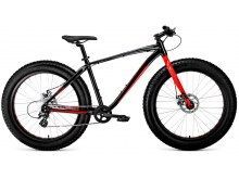   Forward Bizon 26 (2019)