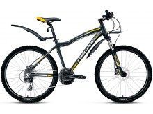    Forward Hesper 3.0 Disc