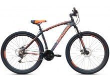    Forward Katana 29 (2018