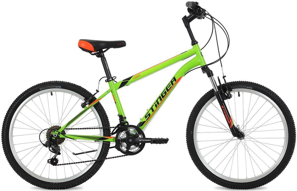    Stinger Caiman 24 (2018