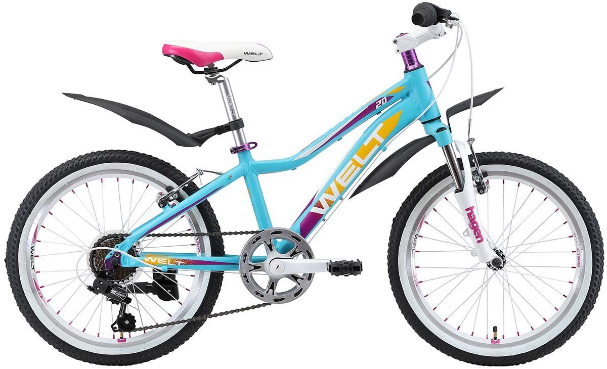    Welt Edelweiss 20 (2018