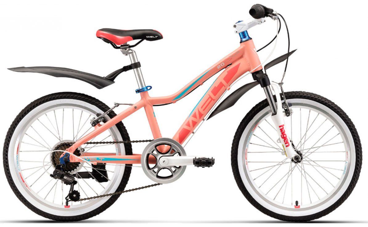    Welt Edelweiss 20 (2019
