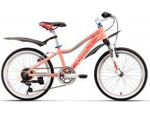    Welt Edelweiss 20 (2019