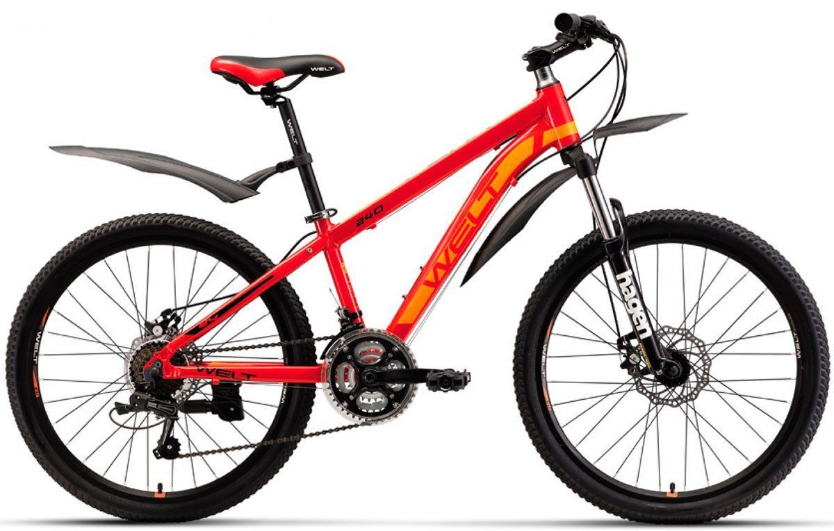    Welt Peak 24 Disc (2019