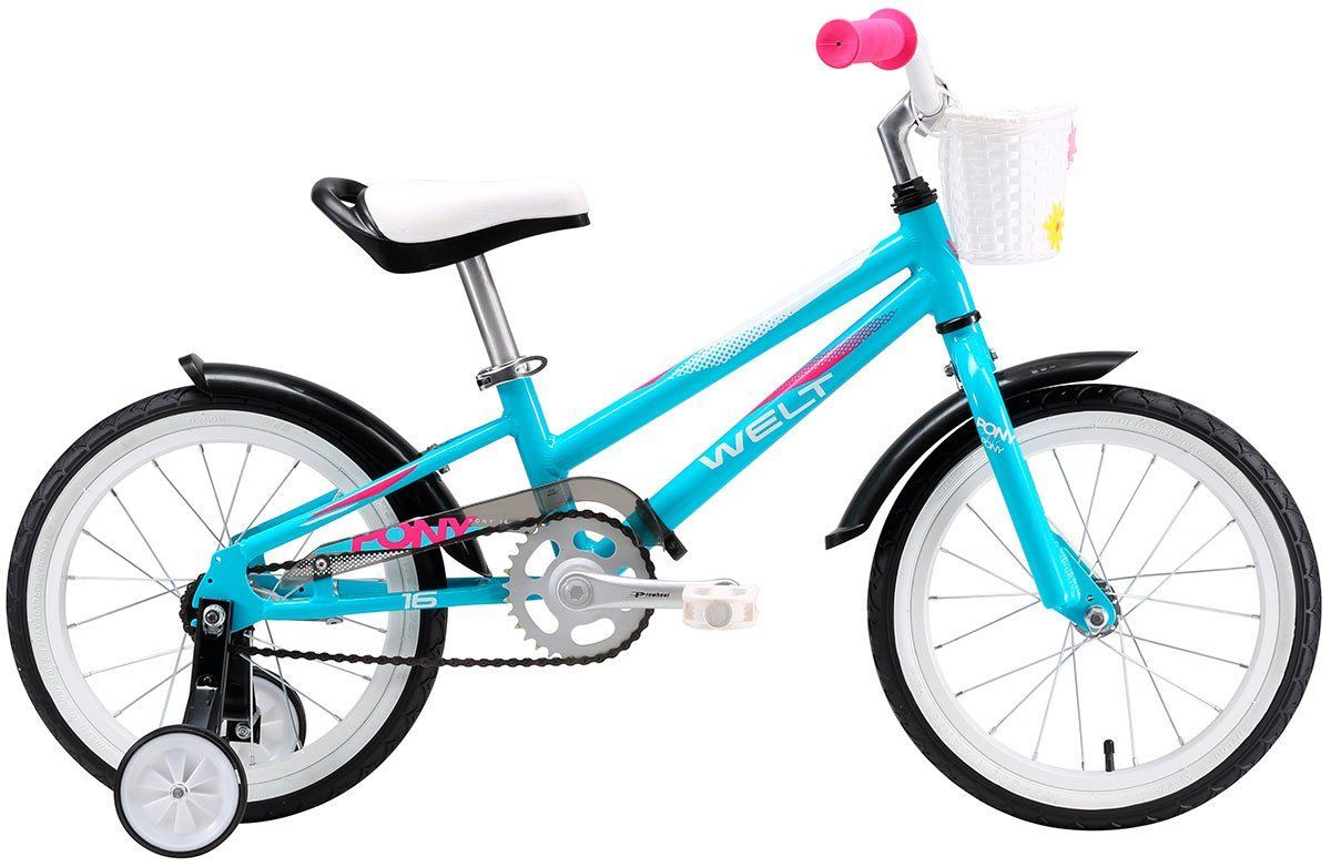    Welt Pony 16 (2019)