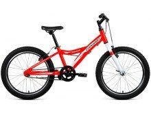  FORWARD Comanche 20 1.0 (2019)