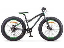  STELS Aggressor D 24" V010 (2019)