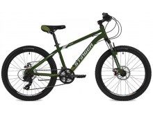  STINGER Aragon 24" (2019)