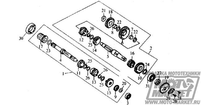   166FMM, 250 cm3     Racer