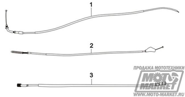   Racer RC150-23 Tiger (  150)