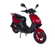  RACER RC50QT-3X JOG (  50-3 )