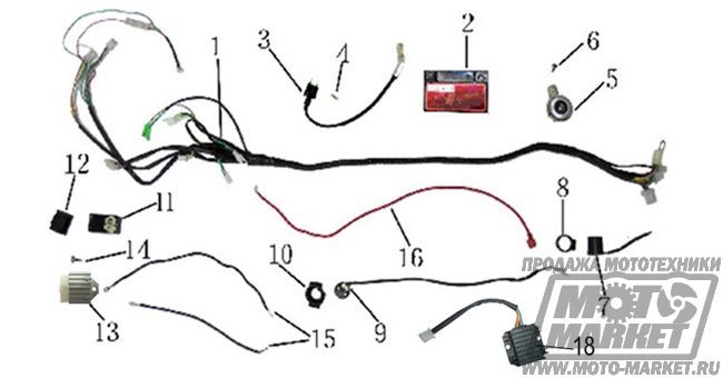   Racer RC50QT-9 Lupus (  50)