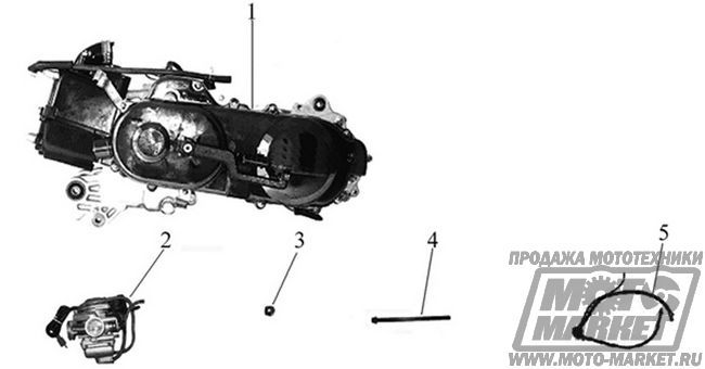   Racer RC50QT-9V Corvus (  50)