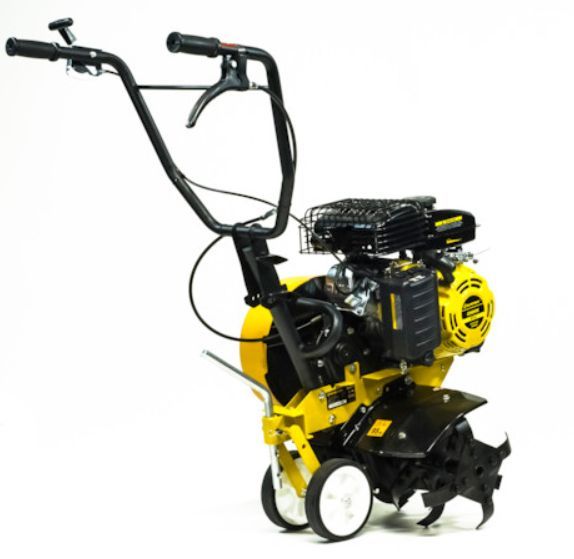 Champion BC4311