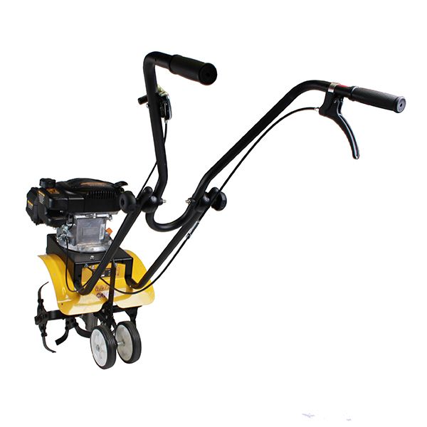  Champion BC4401