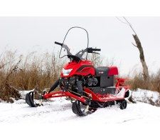  Irbis Dingo 150 2021