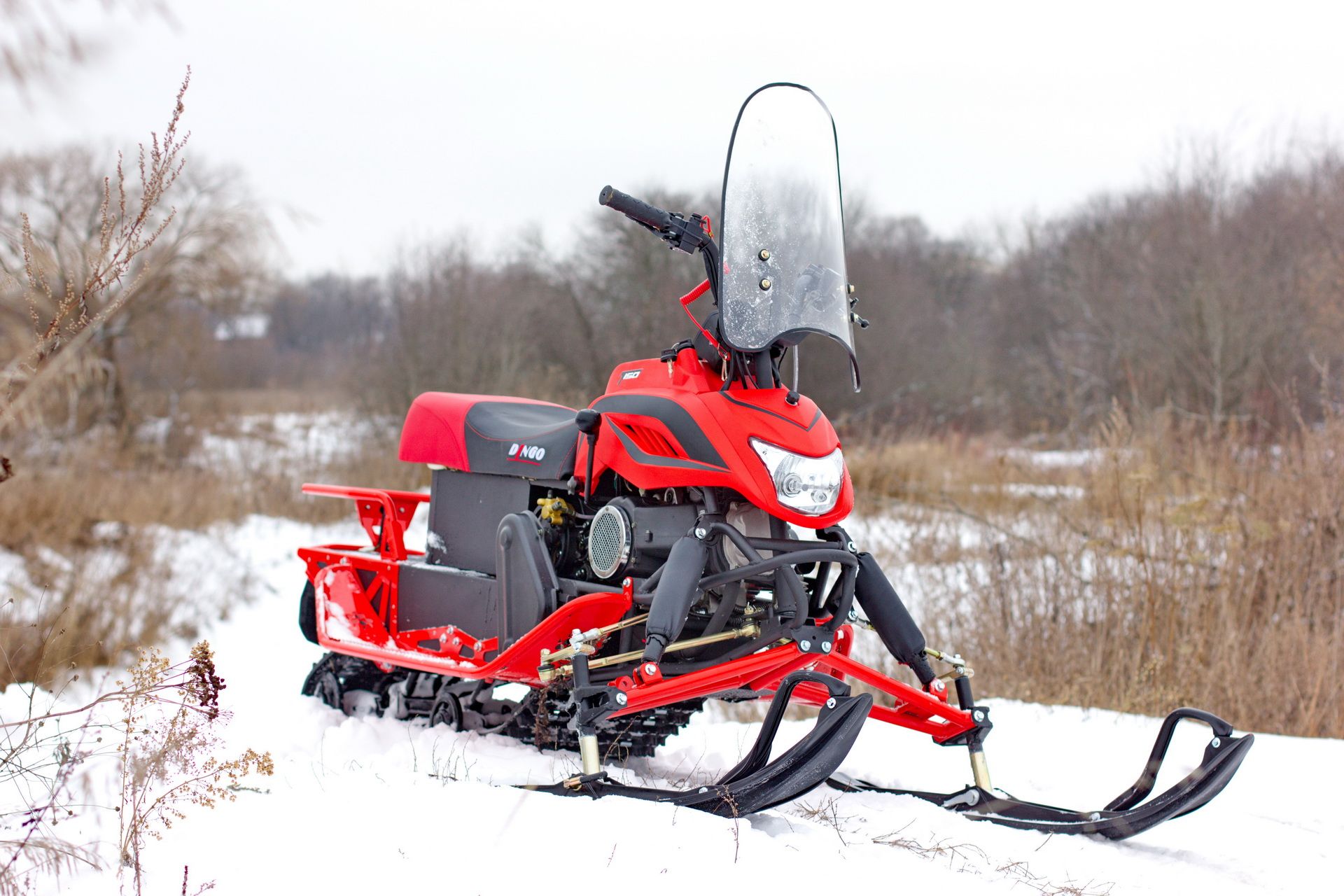 Irbis Dingo 150 2021.  4