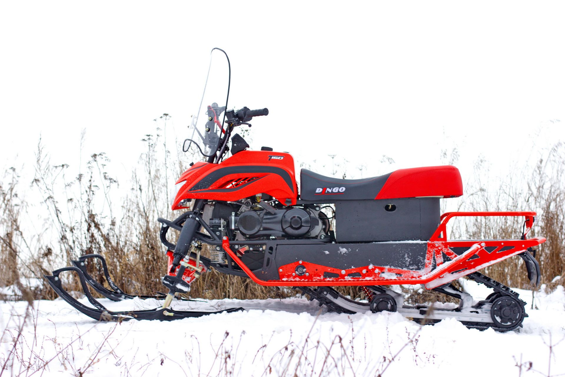  Irbis Dingo 150 2021.  5