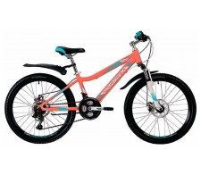   Novatrack Novara 24" Disc (2019)