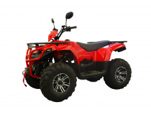  IRBIS ATV 250 PREMIUM ( ATV 250 PREMIUM)