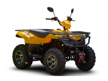  IRBIS ATV 200 PREMIUM ( ATV 200 PREMIUM)