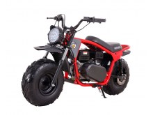 �������� Lucky Duck RB200 MAX