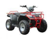  Irbis ATV 250 U ( 250), 