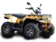  IRBIS ATV 200 PREMIUM ( ATV 200 PREMIUM)