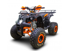  Avantis Hunter 8 LUX 125cc 4 (  8 )