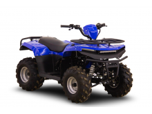  IRBIS ATV125 NEW 2021 ( ATV125 NEW 2021)