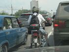  Irbis Virago 110 (  110).    .  61.  .