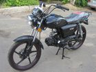  Irbis GS ( GS).    .  36.  .