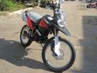  Irbis XR 250 ( XR250).    .  5.  .