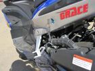  Irbis Grace ( ).    .  25.  .