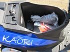  Irbis Kaori ( ).    .  33.  .