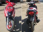 Irbis Z50RS ( 50).    .  1.  .