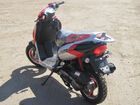  Irbis Z50RS ( 50).    .  2.  .
