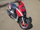  Irbis Z50RS ( 50).    .  6.  .