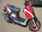  Irbis Z50RS ( 50).    .  7.  .