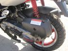  Irbis Z50RS ( 50).    .  17.  .